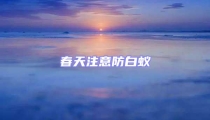 春天注意防白蚁