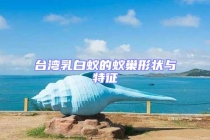 台湾乳白蚁的蚁巢形状与特征
