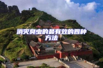 消灭臭虫的最有效的四种方法