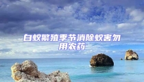 白蚁繁殖季节消除蚁害勿用农药
