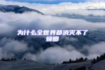 为什么全世界都消灭不了蟑螂