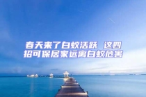 春天来了白蚁活跃 这四招可保居家远离白蚁危害