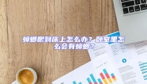 蟑螂爬到床上怎么办?卧室里怎么会有蟑螂?