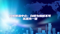 白蚁防治中心：白蚁与蚂蚁不可以混为一谈