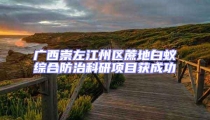 广西崇左江州区蔗地白蚁综合防治科研项目获成功