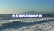 公共场所的蟑螂防治