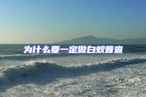 为什么要一定做白蚁普查