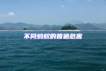 不同蚂蚁的普遍危害
