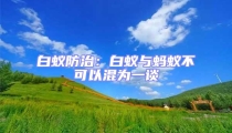 白蚁防治：白蚁与蚂蚁不可以混为一谈