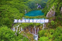 怎么杀死家里的蟑螂