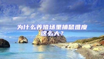 为什么养殖场里捕鼠难度这么大?