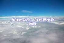 治白蚁公司：白蚁受惊会转移