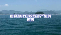 园林绿化白蚁危害产生的原因