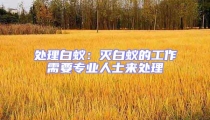 处理白蚁:灭白蚁的工作需要专业人士来处理