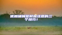 使用捕蝇笼时应注意的三个技巧！