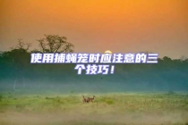 使用捕蝇笼时应注意的三个技巧！