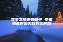 立冬之后还有蚊子 专家称此时是灭蚊最佳时期