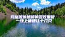网络流传捕蟑神器效果赞 一晚上能逮住十几只