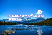可以自动调节空气与温度的白蚁巢