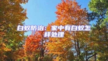 白蚁防治:家中有白蚁怎样处理