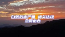 白蚁危害严重 相关法规急需出台