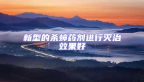 新型的杀蟑药剂进行灭治效果好