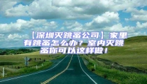【深圳灭跳蚤公司】家里有跳蚤怎么办?室内灭跳蚤你可以这样做!
