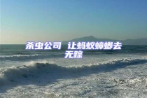 杀虫公司 让蚂蚁蟑螂去无踪