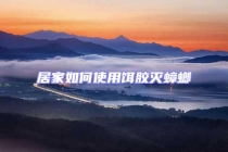 居家如何使用饵胶灭蟑螂