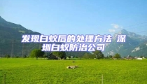 发现白蚁后的处理方法┋深圳白蚁防治公司┋