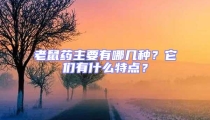 老鼠药主要有哪几种？它们有什么特点？