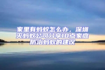 家里有蚂蚁怎么办，深圳灭蚂蚁公司分享10点家庭防治蚂蚁的建议