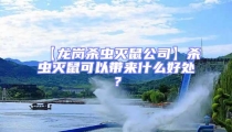 【龙岗杀虫灭鼠公司】杀虫灭鼠可以带来什么好处？