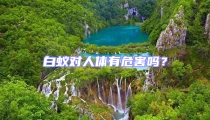 白蚁对人体有危害吗?