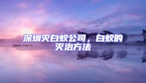 深圳灭白蚁公司，白蚁的灭治方法