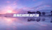 园林白蚁防治方法