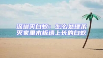 深圳灭白蚁：怎么处理杀灭家里木板墙上长的白蚁