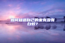 如何知道自己的家有没有白蚁？