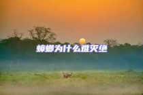 蟑螂为什么难灭绝