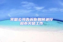 灭鼠公司告诉你如何进行超市灭鼠工作