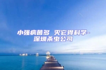 小强病菌多 灭它得科学-深圳杀虫公司