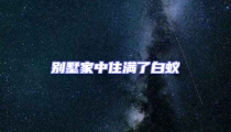 别墅家中住满了白蚁