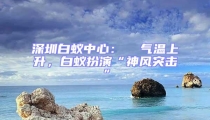 深圳白蚁中心:  气温上升,白蚁扮演“神风突击”