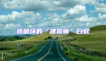 搞破坏的“建筑师”白蚁