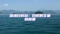 深圳白蚁站:白蚁的主巢和副巢