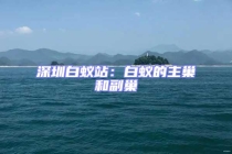 深圳白蚁站：白蚁的主巢和副巢