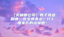 【灭蟑螂公司】男子耳道剧疼,医生竟夹出一只3厘米长的活蟑螂!