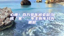 心疼！百万豪车被老鼠当成“家”，车主拆车只为抓鼠