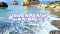 女老板两万现金被白蚁啃成碎纸片 痛哭流涕((图)