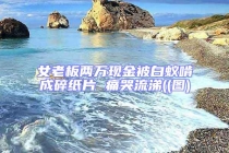女老板两万现金被白蚁啃成碎纸片 痛哭流涕((图)